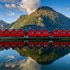 Chalets rouges au bord d'un fjord, Norvège sur Adelheid Smitt