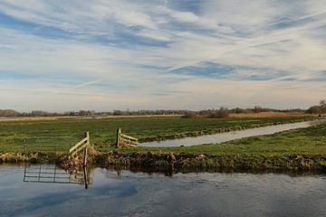 Fries landschap van Pim van der Horst