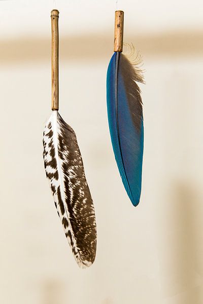 Prachtige veren, in bamboe gestoken van 2BHAPPY4EVER.com photography & digital art