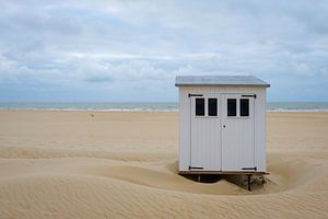 Strandhütte in Koksijde