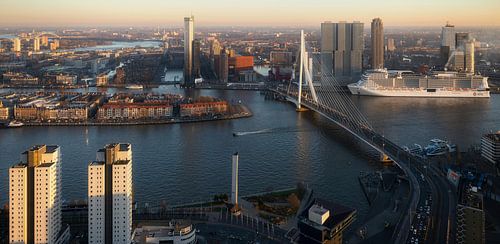 Discover the beauty of Rotterdam