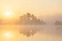 De Flaes in Ochtend mist