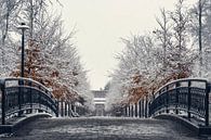 Snow-covered Jesuit Avenue in Rivierenhof by Ribbi thumbnail