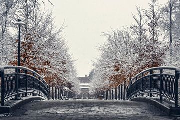 Besneeuwde Jezuietendreef in het Rivierenhof van Ribbi