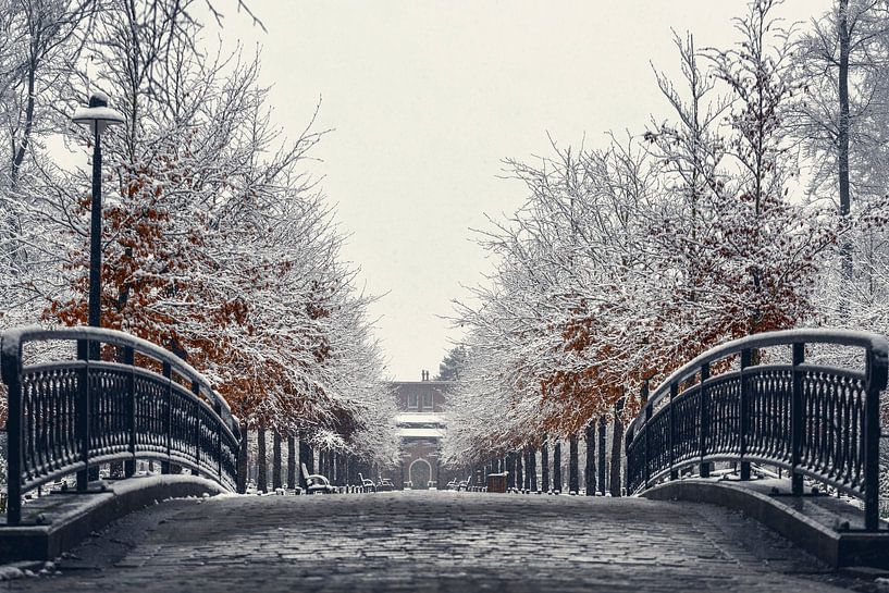 Snow-covered Jesuit Avenue in Rivierenhof by Ribbi