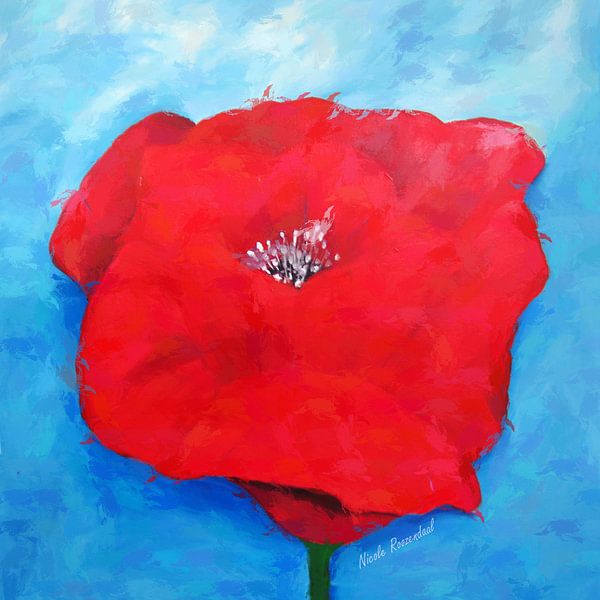 The rose by Nicole Habets
