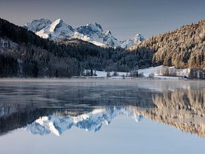 Winterstimmung am Barmsee
