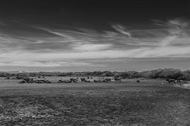 Slufter Texel by Jakob Huizen van