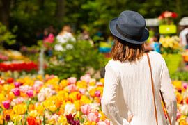 Tulips in Keukenhof Holland. by Brian Morgan