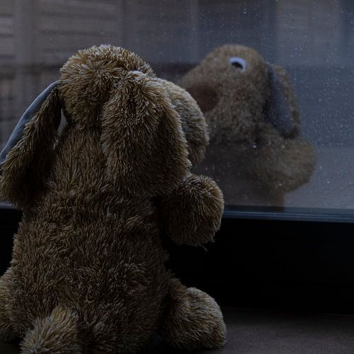 Bär vor dem Fenster mit Regentropfen