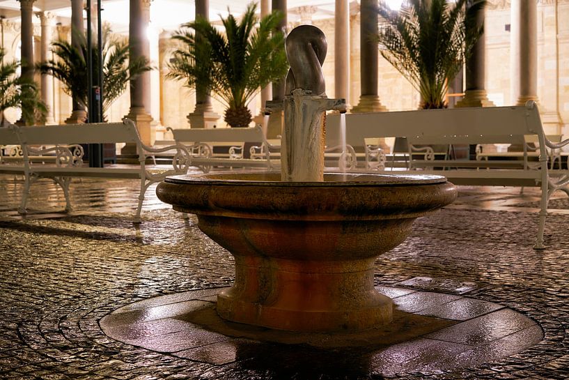  Hot spring in front of the mill fountain colonnade by Heiko Kueverling
