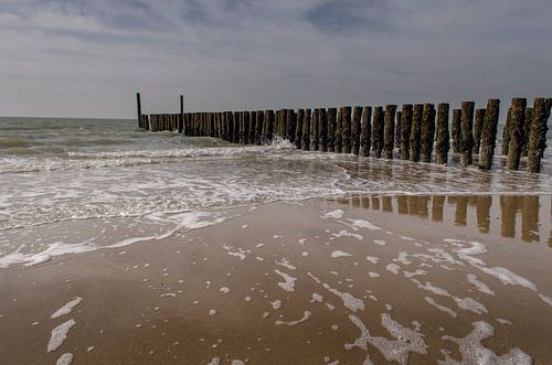 Globules contre les brise-lames par une belle journée de printemps