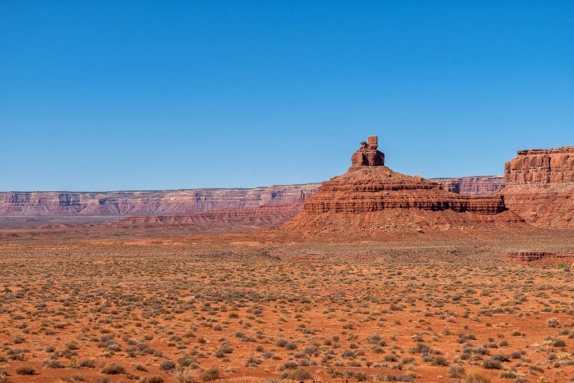 Valley of the Gods, Utah von Richard van der Woude