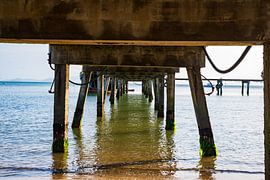 Under the pier