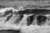 Waves III van Herbert Seiffert thumbnail