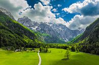 Logar Valley in de Kamnik Savinja Alpen in Slovenië tijdens de lente van Sjoerd van der Wal Fotografie thumbnail