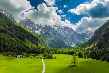 Logar Valley in de Kamnik Savinja Alpen in Slovenië tijdens de lente