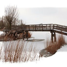 Small bridge in winter van Pim Feijen