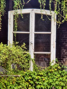 ancienne fenêtre de grange