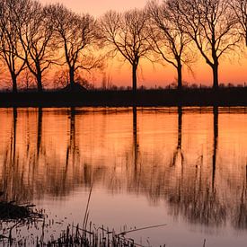 Gouden uurtje sur Wilma van Zalinge