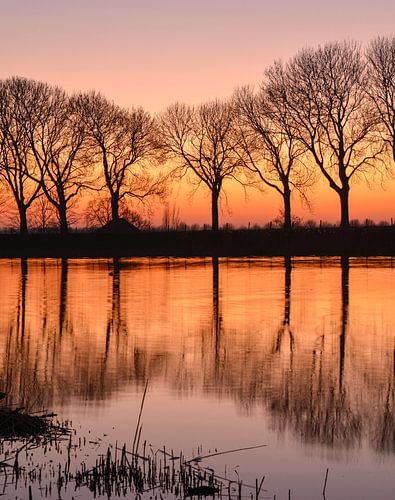 Gouden uurtje van Wilma van Zalinge