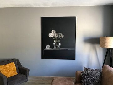 Kundenfoto: Stilleben 68 von jejaka art