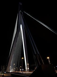 Nachtaufnahme der Erasmus-Brücke (Der Schwan) in Rotterdam von Rick Van der Poorten