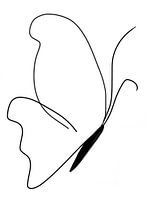 Vlinder - abstracte lijntekening