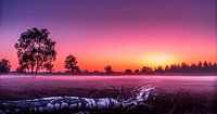 Sunrise over a heathland