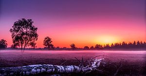 Sonnenaufgang über einer Heidelandschaft von dr. Bart fotografie
