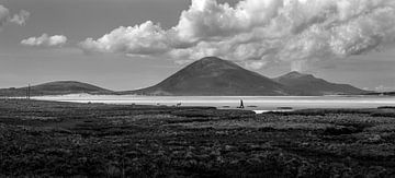 Walker and sheep on a beach in Ireland