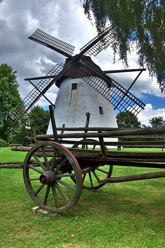 Windmolen met paardenkoets