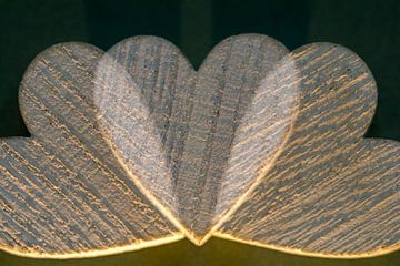 Hartjes met liefde gevangen in licht en schaduw van Lisette Rijkers