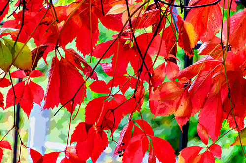 Roter Herbst