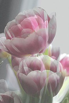 Abstracte fotografie | Abstract expressionisme | Modern abstract | Pioen tulp roze en wit van Art by Janine
