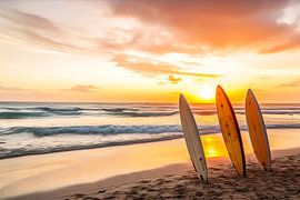 Surfboarding in the beach sand at sunset