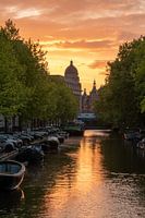 Sommer in Amsterdam