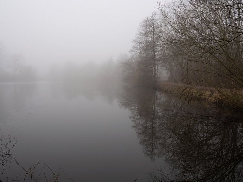See im Nebel by Nicole Bäcker