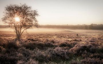 Brouillard sur la lande sur Connie de Graaf