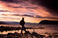 Vissen tijdens zonsondergang in het Sunndalsfjord, Noorwegen