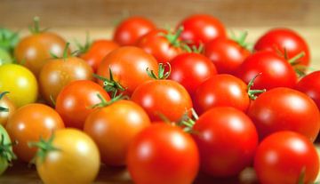 Tomates sur Bo Valentino
