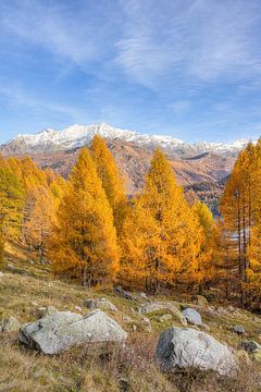 Herfst in het Engadin in Zwitserland van Michael Valjak