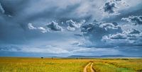 Paysage de savane avec nuages