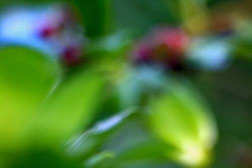 Wazig-fotografie-wazig van arte factum berlin