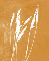Gras in Weiß auf Ockergelb. Moderne botanische Kunst