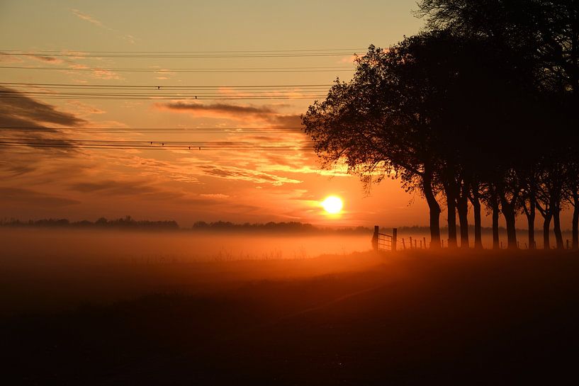 Stilte en bezinning van A. Bles