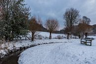 Bare trees and snow landscapes in a Brussels park during winter by Werner Lerooy thumbnail