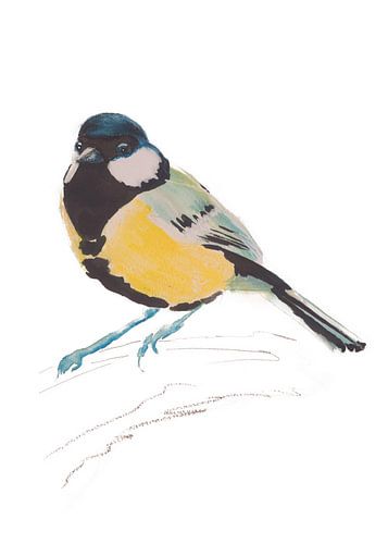 Koolmees bijzondere vogel illustratie