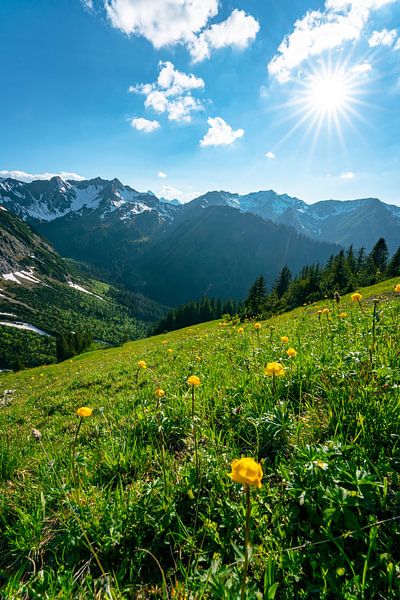 Troll bloemen in Kleinwalsertal van Leo Schindzielorz