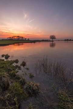 Sonnenuntergang am Fluss Lek von Moetwil en van Dijk - Fotografie